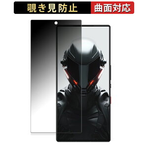 �y�|�C���g2�{�z Nubia REDMAGIC 9 Pro+ (�C���J�������L��) ������ �y180�x �ȖʑΉ��z �`�����h�~ �t�B���� �u���[���C�g�J�b�g ����d�l ���{��