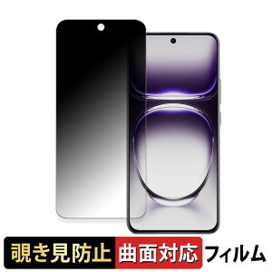 �y�|�C���g2�{�z OPPO Reno12 ������ �y180�x �ȖʑΉ��z �`�����h�~ �t�B���� �u���[���C�g�J�b�g ����d�l ���{��