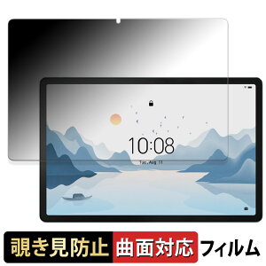 �y�|�C���g2�{�z Lenovo Tab P12 with Matte Display ������ �y180�x �ȖʑΉ��z �`�����h�~ �t�B���� �u���[���C�g�J�b�g ����d�l ���{��