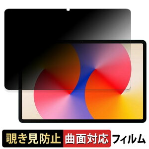 HUAWEI MatePad SE 11 ������ �y180�x �ȖʑΉ��z �`�����h�~ �t�B���� �u���[���C�g�J�b�g ����d�l ���{��