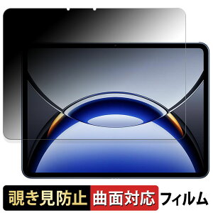 �y�|�C���g2�{�z OPPO Pad 3 Pro �y 180�x �ȖʑΉ� �z �`�����h�~ �t�B���� �u���[���C�g�J�b�g ����d�l ���{��