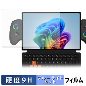 �y8/11 1:59�� �|�C���g2�{�z One-Netbook ONEXPLAYER X2 �ی�t�B���� �y 9H���d�x ���˒ጸ �z �u���[���C�g�J�b�g �t�B���� �����K���X�Ɠ����̍��d�x ���{��
