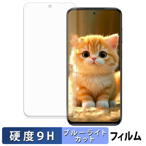 OUKITEL C68 Plus ( ���C���f�B�X�v���C ) �ی�t�B���� �u���[���C�g�J�b�g �t�B���� �y 9H���d�x ���˒ጸ �z �����K���X�Ɠ����̍��d�x ���{��