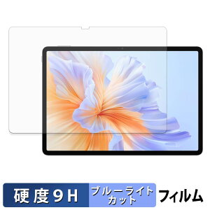HONOR Pad 10 Pro / Pad V9 �ی�t�B���� �u���[���C�g�J�b�g �t�B���� �y 9H���d�x ���˒ጸ �z �����K���X�Ɠ����̍��d�x ���{��
