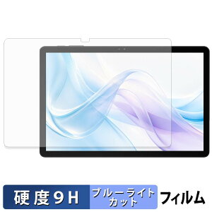 BIRDCLAW P11 Pro �ی�t�B���� �u���[���C�g�J�b�g �t�B���� �y 9H���d�x ���˒ጸ �z �����K���X�Ɠ����̍��d�x ���{��
