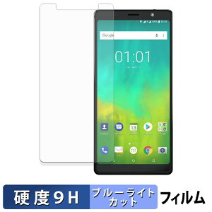 BlackBerry Evolve �ی�t�B���� �u���[���C�g�J�b�g �t�B���� �y 9H���d�x ���˒ጸ �z �����K���X�Ɠ����̍��d�x ���{��