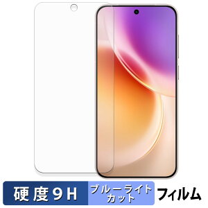 vivo X300 �ی�t�B���� �u���[���C�g�J�b�g �t�B���� �y 9H���d�x ���˒ጸ �z �����K���X�Ɠ����̍��d�x ���{��