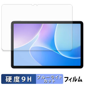 �y8/11 1:59�� �|�C���g2�{�z Infinix XPAD 20 �ی�t�B���� �u���[���C�g�J�b�g �t�B���� �y 9H���d�x ���˒ጸ �z �����K���X�Ɠ����̍��d�x ���{��