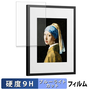 SwitchBot AI�A�[�g�L�����o�X 13.3�C���` �ی�t�B���� �u���[���C�g�J�b�g �t�B���� �y 9H���d�x ����d�l �z �����K���X�Ɠ����̍��d�x ���{��