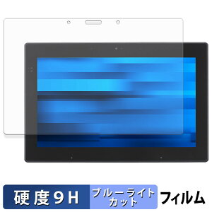 �y�|�C���g2�{�z EPSON Endeavor TN52E / JT52 �ی�t�B���� �u���[���C�g�J�b�g �t�B���� �y 9H���d�x ����d�l �z �����K���X�Ɠ����̍��d�x ���{��