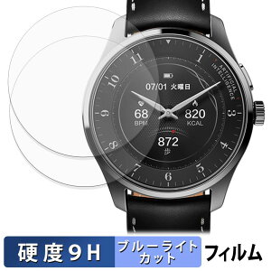 �y�|�C���g2�{�z iFLYTEK AIWATCH (2���Z�b�g) �p �ی�t�B���� �u���[���C�g�J�b�g �t�B���� �y 9H���d�x ����d�l �z �����K���X�Ɠ����̍��d�x ���{��