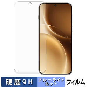 �y�|�C���g2�{�z vivo X300 Pro �ی�t�B���� �u���[���C�g�J�b�g �t�B���� �y 9H���d�x ����d�l �z �����K���X�Ɠ����̍��d�x ���{��