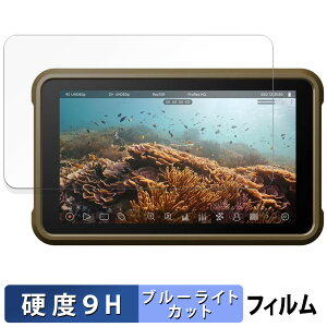 ATOMOS NINJA ( ATOMNJA004 ) / NINJA ULTRA ( ATOMNJAU01 ) یtB u[CgJbg tB y 9Hdx dl z KXƓ̍dx {