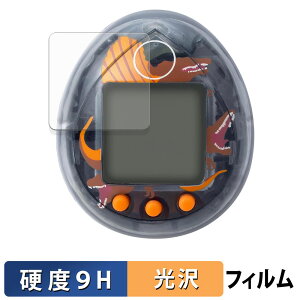 y|Cg2{z WVbNE[h ̑n ܂ Spinosaurus ver. 4Zbg یtB y 9Hdx dl z tB KXƓ̍dx {