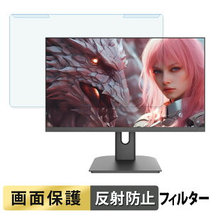 ���O���ȒP JAPANNEXT JN-IPS245G320F �u���[���C�g�J�b�g �t�B���^�[ �A���`�O���A �t���ی� �v���e�N�^�[