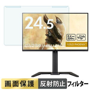 ���O���ȒP iiyama G-MASTER GB2591HSU-B1J �u���[���C�g�J�b�g �t�B���^�[ �A���`�O���A �t���ی� �v���e�N�^�[
