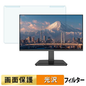 ���O���ȒP JAPANNEXT JN-IPS215DF3 �u���[���C�g�J�b�g �t�B���^�[ ����d�l �t���ی� �v���e�N�^�[