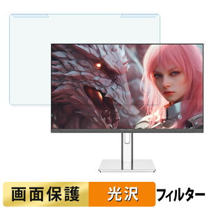 ���O���ȒP JAPANNEXT JN-IPS245G320F-HSP �u���[���C�g�J�b�g �t�B���^�[ ����d�l �t���ی� �v���e�N�^�[