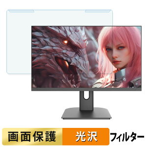 ���O���ȒP JAPANNEXT JN-IPS245G320F �u���[���C�g�J�b�g �t�B���^�[ ����d�l �t���ی� �v���e�N�^�[