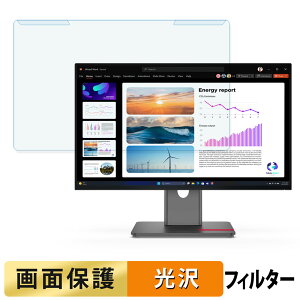 �y�|�C���g2�{�z ���O���ȒP Lenovo ThinkVision P24Q-40 / P24QD-40 �u���[���C�g�J�b�g �t�B���^�[ ����d�l �t���ی� �v���e�N�^�[