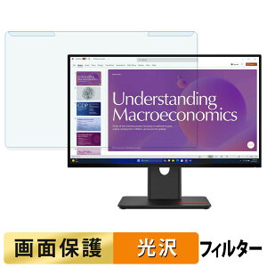 ���O���ȒP Lenovo ThinkVision T24D-40 �u���[���C�g�J�b�g �t�B���^�[ ����d�l �t���ی� �v���e�N�^�[