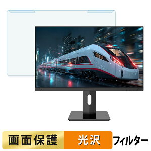 ���O���ȒP JAPANNEXT JN-T245G300F-HSP �u���[���C�g�J�b�g �t�B���^�[ ����d�l �t���ی� �v���e�N�^�[