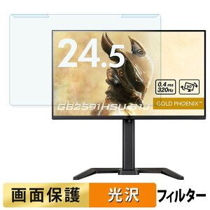 ���O���ȒP iiyama G-MASTER GB2591HSU-B1J �u���[���C�g�J�b�g �t�B���^�[ ����d�l �t���ی� �v���e�N�^�[