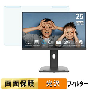 ���O���ȒP MSI PRO MP253P �u���[���C�g�J�b�g �t�B���^�[ ����d�l �t���ی� �v���e�N�^�[