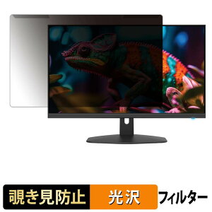 ���O���ȒP Sceptre E275W-FW100T �`�����h�~ �v���C�o�V�[ �t�B���^�[ ����d�l �t���ی� �v���e�N�^�[