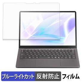 NEC LAVIE SOL ( 13.3型ワイド 2025年秋冬モデル ) 保護フィルム 【 反射低減 】 ブルーライトカット フィルム 日本製