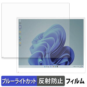 Bigme B13 �ی�t�B���� �u���[���C�g�J�b�g �t�B���� �y ���˒ጸ �z ���{��