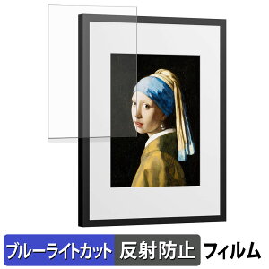 SwitchBot AI�A�[�g�L�����o�X 13.3�C���` �ی�t�B���� �u���[���C�g�J�b�g �t�B���� �y ���˒ጸ �z ���{��