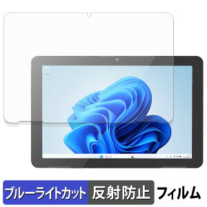 �y�|�C���g2�{�z ODS TW2A-N9 �V���[�Y �ی�t�B���� �u���[���C�g�J�b�g �t�B���� �y ���˒ጸ �z ���{��