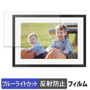 �y�|�C���g2�{�z KODAK RCF-1005P �ی�t�B���� �u���[���C�g�J�b�g �t�B���� �y ���˒ጸ �z ���{��