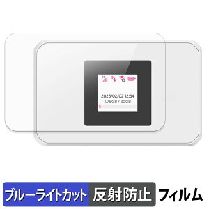 �y�|�C���g2�{�z �y�V Rakuten WiFi Pocket 5G �ی�t�B���� �y ���˒ጸ �z �u���[���C�g�J�b�g �t�B���� ���{��