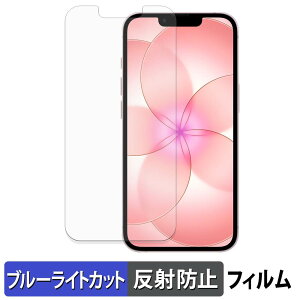 Apple iPhone 17e �ی�t�B���� �u���[���C�g�J�b�g �t�B���� �y ���˒ጸ �z ���{��