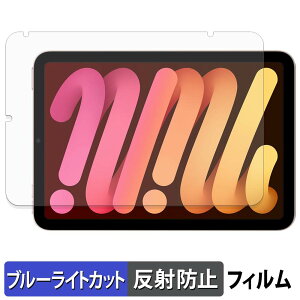 �y�|�C���g2�{�z Apple iPad mini ( ��6���� �E 2021�N�������f�� ) �ی�t�B���� �u���[���C�g�J�b�g �t�B���� �y ���˒ጸ �z ���{��