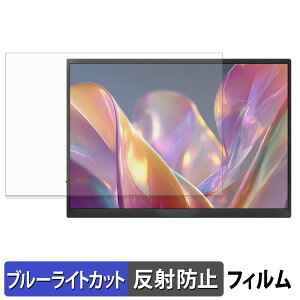 JAPANNEXT JN-MD-iET105FP / JN-MD-IPST105FP �ی�t�B���� �u���[���C�g�J�b�g �t�B���� �y ���˒ጸ �z ���{��