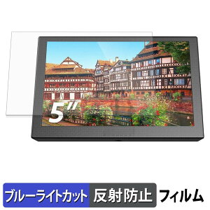 Eyoyo E05 �ی�t�B���� �u���[���C�g�J�b�g �t�B���� �y ���˒ጸ �z ���{��