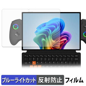 One-Netbook ONEXPLAYER X2 �ی�t�B���� �u���[���C�g�J�b�g �t�B���� �y ���˒ጸ �z ���{��
