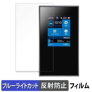 �y�|�C���g2�{�z NEC Aterm MR04LN �ی�t�B���� �y ���˒ጸ �z �u���[���C�g�J�b�g �t�B���� ���{��