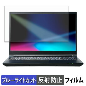 THIRDWAVE GALLERIA RL7C-R55-5N 保護フィルム 【 反射低減 】 ブルーライトカット フィルム