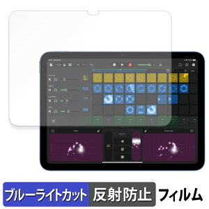 【ポイント2倍】 Apple iPad ( 第11世代 ) 2025 11インチ 保護フィルム ブルーライトカット フィルム 【 反射低減 】 日本製