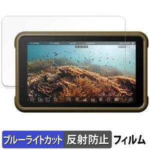 ATOMOS NINJA ( ATOMNJA004 ) / NINJA ULTRA ( ATOMNJAU01 ) یtB u[CgJbg tB y ˒ጸ z {