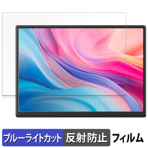 JAPANNEXTJN-MD-IPS105FP �ی�t�B���� �u���[���C�g�J�b�g �t�B���� �y ���˒ጸ �z ���{��