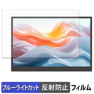 JAPANNEXT JN-MD-IPS122WX �ی�t�B���� �u���[���C�g�J�b�g �t�B���� �y ���˒ጸ �z ���{��