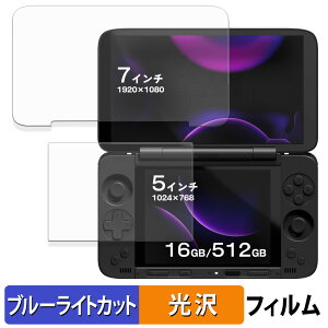 �y�|�C���g2�{�z AYANEO Pocket DS ( ���� / ����� ) �ی�t�B���� �u���[���C�g�J�b�g �t�B���� �y ����d�l �z ���{��