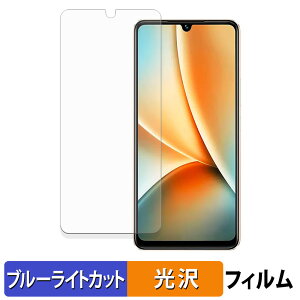 �y�|�C���g2�{�z vivo Y100 ������ �ی�t�B���� �y����d�l�z �u���[���C�g�J�b�g �t�B���� ���{��