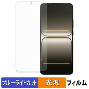OnePlus Nord CE5 �ی�t�B���� �u���[���C�g�J�b�g �t�B���� �y ����d�l �z ���{��