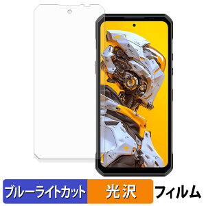 �y�|�C���g2�{�z OUKITEL WP60 5G �ی�t�B���� �u���[���C�g�J�b�g �t�B���� �y ����d�l �z ���{��